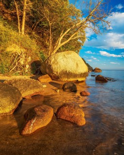 Coastal landscape with large boulders on the Baltic Sea beach in the evening light, Mönchgut Nature