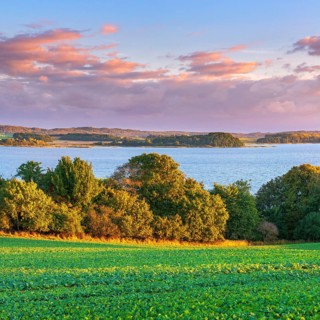 View over green fields and lagoon landscape to Granitz with the hunting lodge in the morning light,