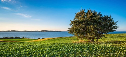 View over green fields and lagoon landscape, Mönchgut Nature Reserve, Groß Zicker, Mönchgut