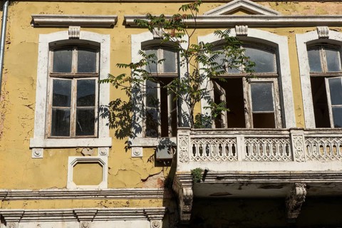 Varna, Bulgaria, September 6th 2020 A tree growing from an old building in the centre of Varna city