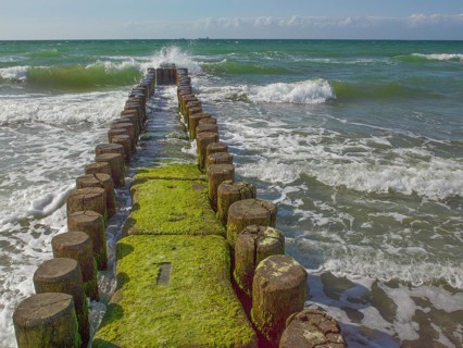 Groves, coastal protection structure, beach, Ahrenshoop, Baltic Sea, Vorpommern-Rügen district in