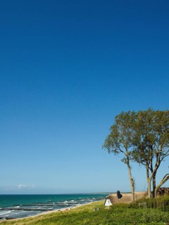 Coastal scene, blooming plants in the foreground, with a thatched building, Ahrenshoop, Baltic Sea,