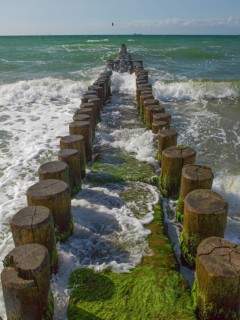 Groves, coastal protection structure, beach, Ahrenshoop, Baltic Sea, Vorpommern-Rügen district in