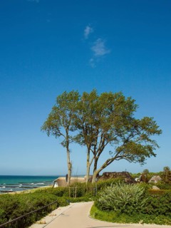 Coastal scene, Ahrenshoop, Baltic Sea, Vorpommern-Rügen district in Mecklenburg-Western Pomerania,
