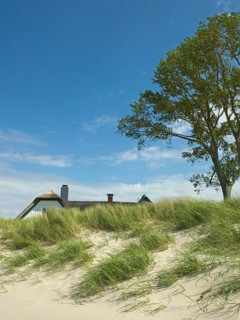Coastal scene, marram grass (Ammophila arenaria), Ahrenshoop, Baltic Sea, district of
