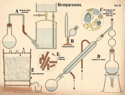 Various chemical devices and microscopic views on the subject of fermentation and distillation,