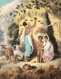 Hindu woman preparing fuel from animal droppings to dry on the wall of the house, India, authentic,