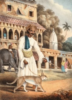 A seah-gosh or lynx keeper, India, authentic, digitally restored reproduction from a 19th-century