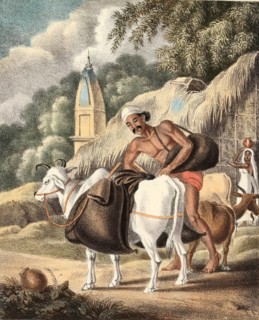 Water seller with water hoses on his way to market, India, authentic, digitally restored