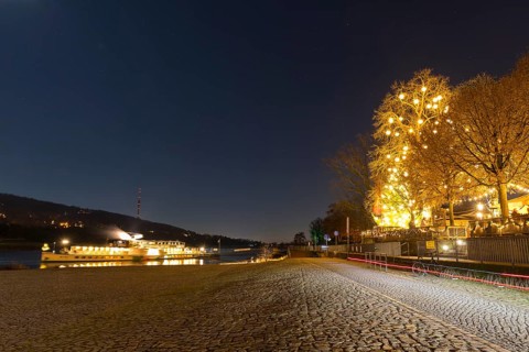 Atmospheric night view at the Blue Wonder, the decorated steamer docks on the Elbe and a large tree