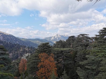 View of Tahtali Dagi over forested mountains under a blue sky with clouds, hiking the Lycian Trail,