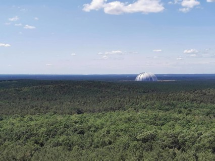 View of an extensive forest with the dome of Tropical Island, Cargolifter Hall on the horizon under