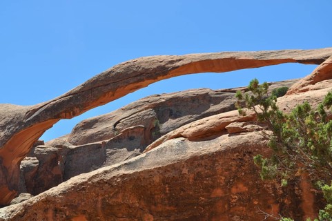Large stone bridge, called Landscape Arch, in desert landscape with plants, Arches National Park,