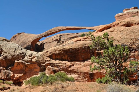 Landscape Arch, a natural stone bridge, with desert plants in the foreground, Arches National Park,