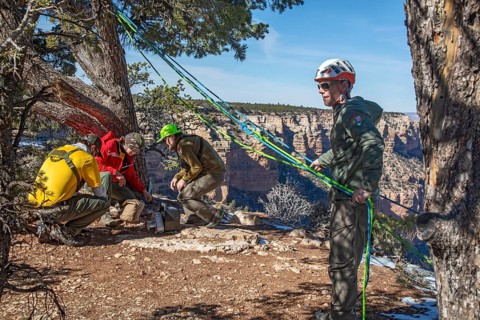 Grand Canyon National Park, Arizona. National Park Service employees practice rescue techniques on