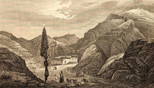 Mountain landscape on Sinai, Egypt, fortress, small herd of goats, shepherd, tree, sparse