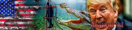 Symbolic image, Trump in deportation mania, Guantanamo, Alligator Alcatraz in Florida's Everglades,