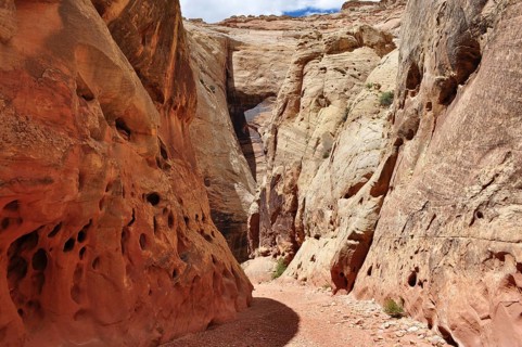 Narrow path through a red rock gorge with unique structures, Capitol Reef National Park, Utha, USA