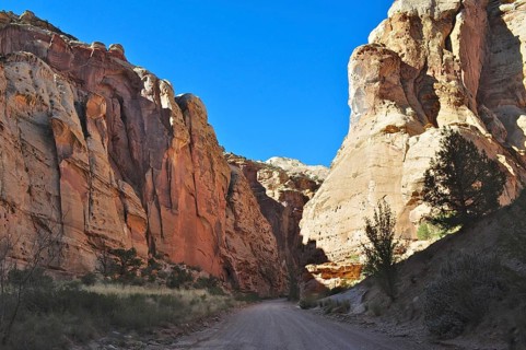Dramatic gorge with narrow gravel road surrounded by tall rocks under clear skies, Capitol Reef