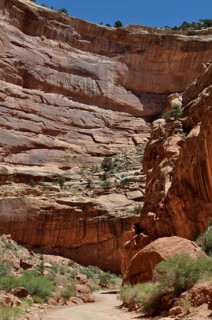 Gravel road through an imposing canyon with overwhelming red rock walls and deep shade, Capitol