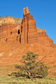 Distinctive rock formation with a tree in a barren desert landscape under blue sky, Capitol Reef
