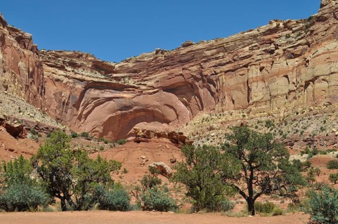 Sublime red canyon wall with trees in the dry, vast desert landscape, Capitol Reef National Park,