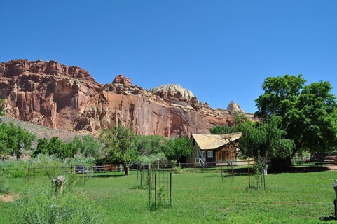 Small wooden house in front of reddish brown rocks, surrounded by green trees and grass, Fruita,
