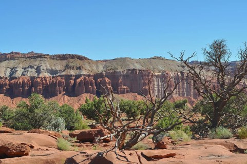 Red rock formation with sparse vegetation in a desert canyon, Capitol Reef National Park, Utha, USA