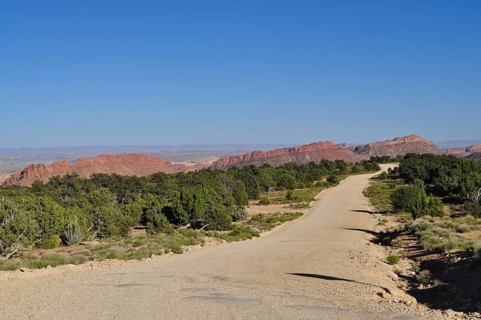 Gravel road through a dry desert landscape with red rocks and trees, Capitol Reef National Park,