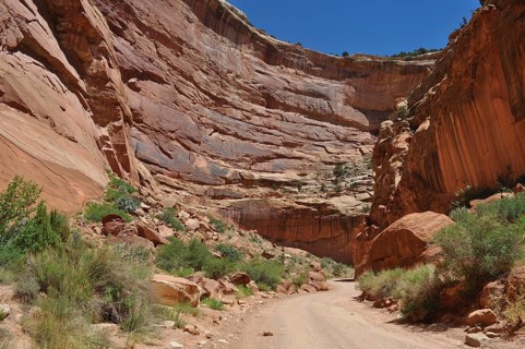 Gravel road through a wide canyon with red rocks and sparse vegetation, Capitol Reef National Park,