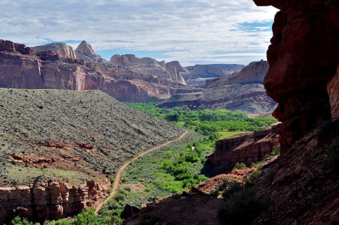 View of a green canyon surrounded by impressive rock structures and desert flora, Capitol Reef