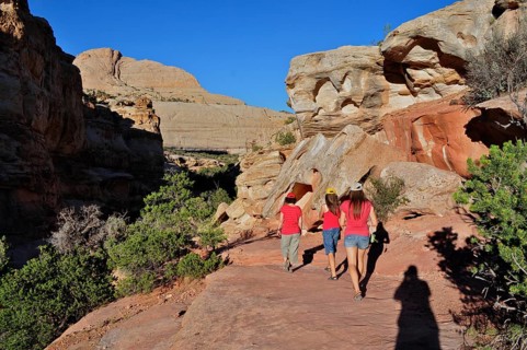Hikers in summer desert landscape surrounded by red rocks and scattered vegetation, Capitol Reef