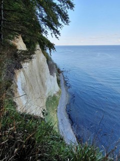 Steep chalk cliffs by the sea with vegetation and blue sky, Jasmund National Park, Rügen, Baltic