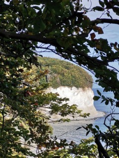 View through trees of a white cliff by the sea, Jasmund National Park, Rügen, Baltic Sea