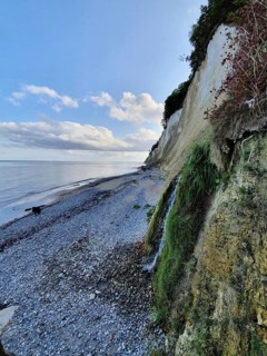 Steep rocky coast with chalk cliffs and pebble beach, Jasmund National Park, Rügen, Baltic Sea