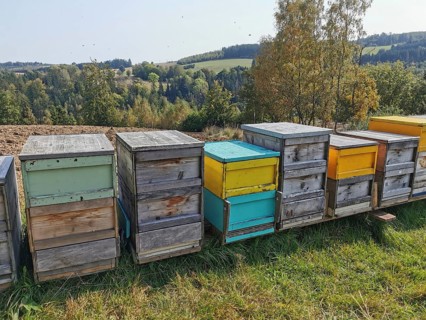 Colourful beehives (apis) stand in a meadow in an autumnal landscape under a clear sky, Franconian