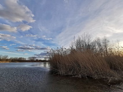 Wintery lake with barren trees and clouds in the sky, Berlin