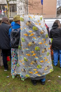 Rose Monday procession in Düsseldorf, spectators at the street carnival, in some cases heavy rain,