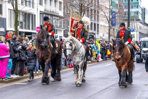 Rose Monday procession in Düsseldorf, group of horses at the street carnival, sometimes heavy rain,