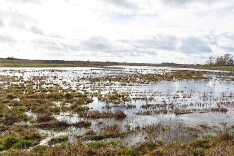 Flooded lowland fields Boyton and Hollesley Marshes Nature Reserve, Hollesley, Suffolk, England, UK