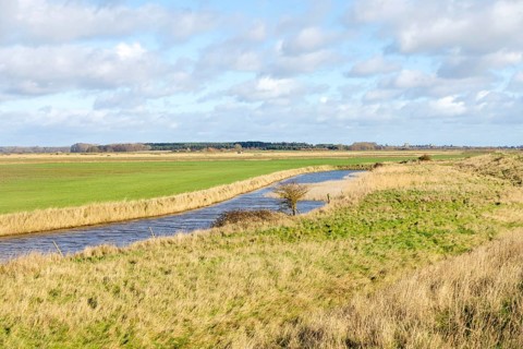 Drainage channel in low land, Boyton and Hollesley Marshes Nature Reserve, Boyton, Suffolk,