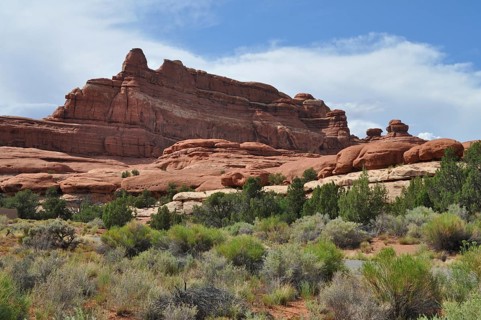 Impressive red rocks rise against a clear blue sky surrounded by dry vegetation, Canyonlands