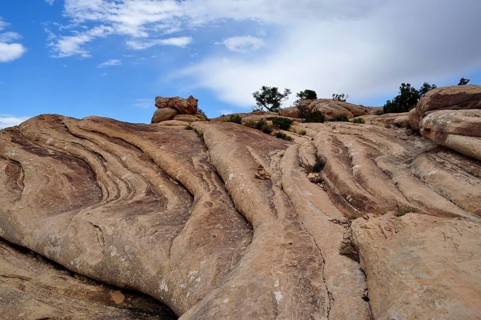 Close-up of curved rock formations under a partly cloudy sky, Canyonlands National Park, Utah, USA