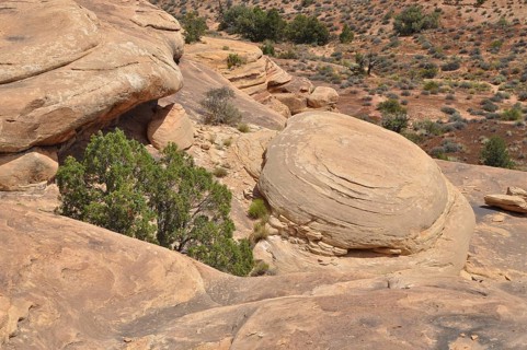 An impressive rock formation with sparse vegetation in an arid landscape, Canyonlands National