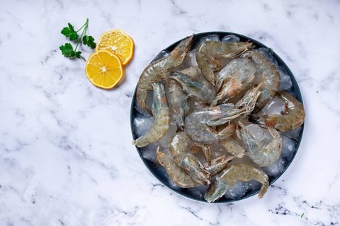 Fresh raw shrimp, spread on ice with lemon and cilantro slices on a marble surface, ready to cook,