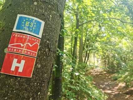 Trail through a forest with a tree bearing a hiking trail sign, Franconian mountain trail, hiking