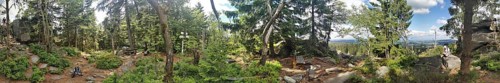 Panoramic view of a dense forest with trees and some rocks, Franconian mountain trail, hiking in