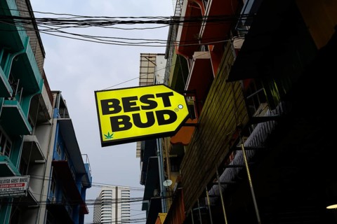 Best Bud sign for Legal cannabis and marijuana products store selling Thai weed and CBD and