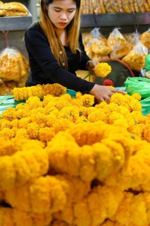 Bangkok, Thailand. March 2rd 2025. A Thai woman making traditional flower garlands at Pak khlong