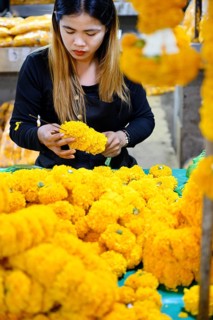 Bangkok, Thailand. March 4th 2025. A Thai woman making traditional flower garlands at Pak khlong